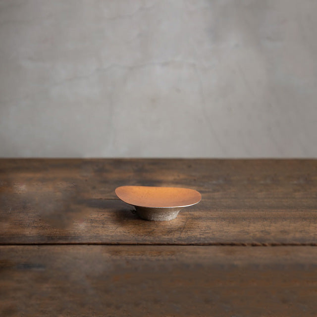 Dish FUNGI