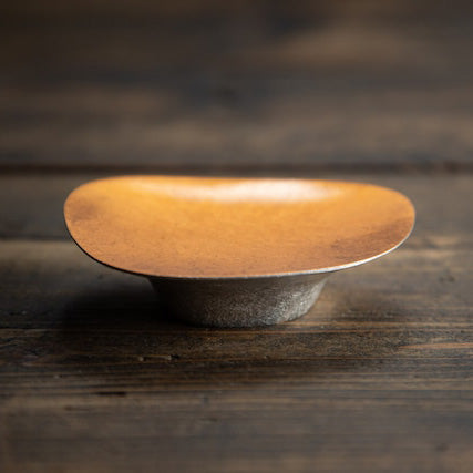 Dish FUNGI
